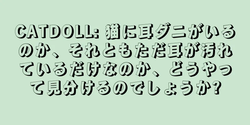 CATDOLL: 猫に耳ダニがいるのか、それともただ耳が汚れているだけなのか、どうやって見分けるのでしょうか?