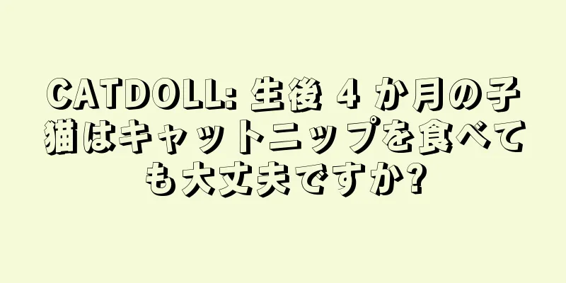 CATDOLL: 生後 4 か月の子猫はキャットニップを食べても大丈夫ですか?