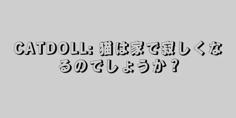 CATDOLL: 猫は家で寂しくなるのでしょうか？