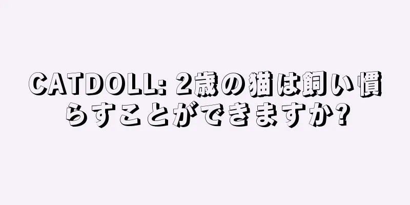 CATDOLL: 2歳の猫は飼い慣らすことができますか?
