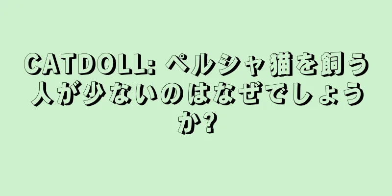 CATDOLL: ペルシャ猫を飼う人が少ないのはなぜでしょうか?