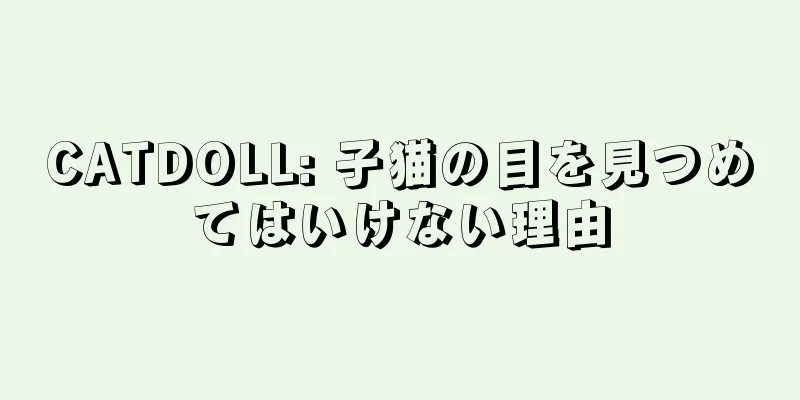 CATDOLL: 子猫の目を見つめてはいけない理由