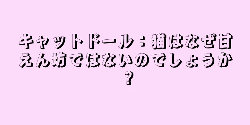 キャットドール：猫はなぜ甘えん坊ではないのでしょうか？