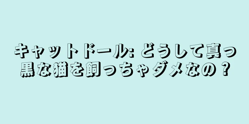 キャットドール: どうして真っ黒な猫を飼っちゃダメなの？