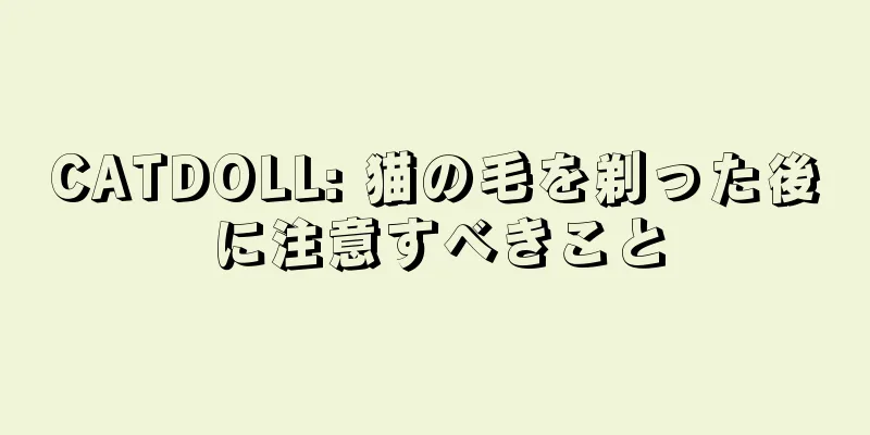 CATDOLL: 猫の毛を剃った後に注意すべきこと