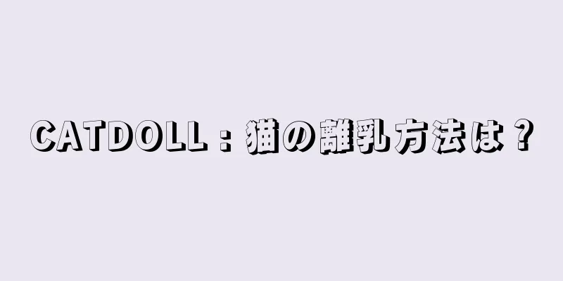 CATDOLL : 猫の離乳方法は？
