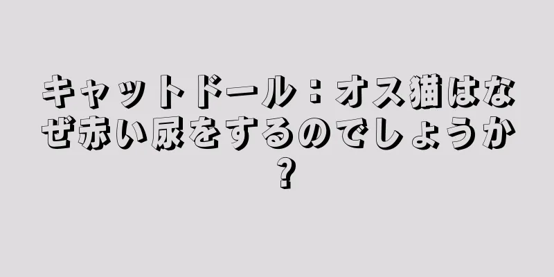 キャットドール：オス猫はなぜ赤い尿をするのでしょうか？