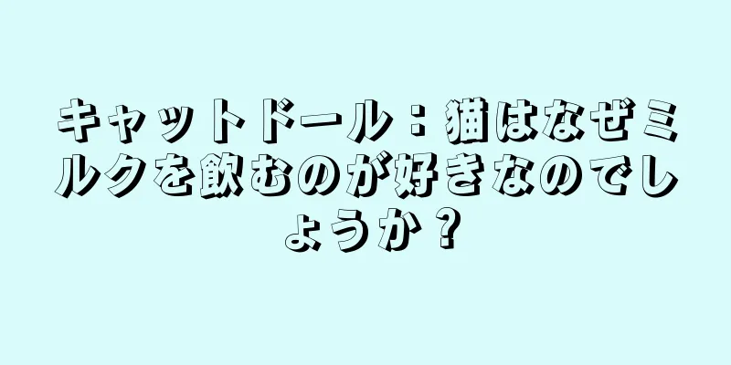 キャットドール：猫はなぜミルクを飲むのが好きなのでしょうか？