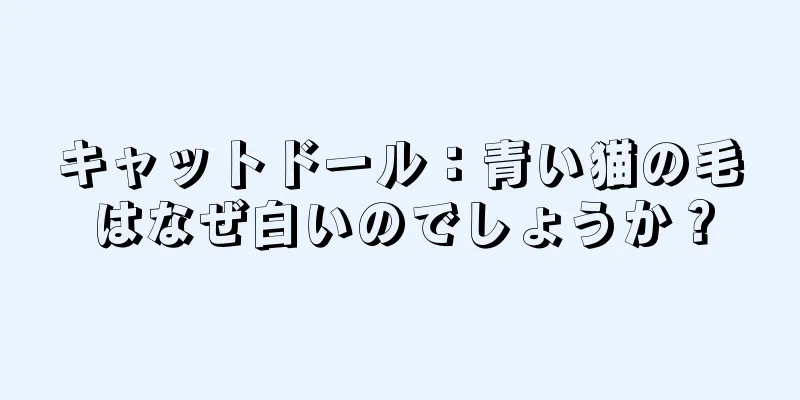 キャットドール：青い猫の毛はなぜ白いのでしょうか？