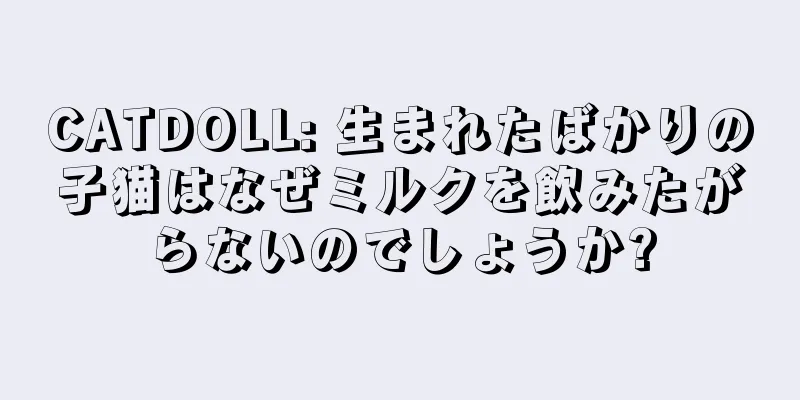 CATDOLL: 生まれたばかりの子猫はなぜミルクを飲みたがらないのでしょうか?