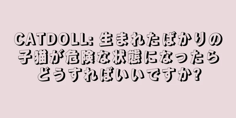 CATDOLL: 生まれたばかりの子猫が危険な状態になったらどうすればいいですか?