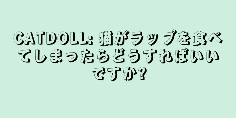 CATDOLL: 猫がラップを食べてしまったらどうすればいいですか?