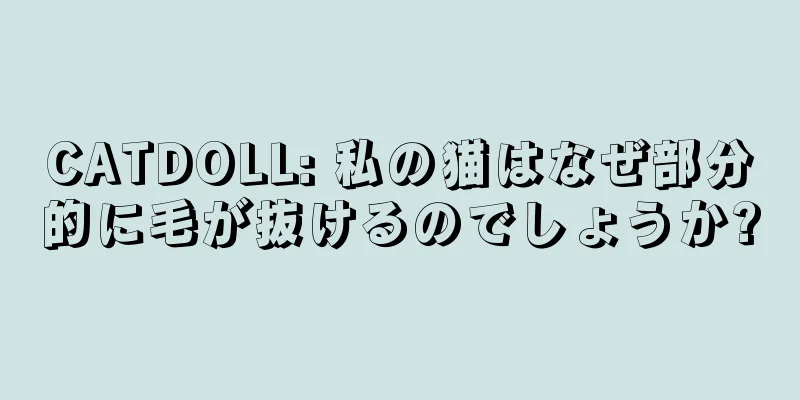 CATDOLL: 私の猫はなぜ部分的に毛が抜けるのでしょうか?