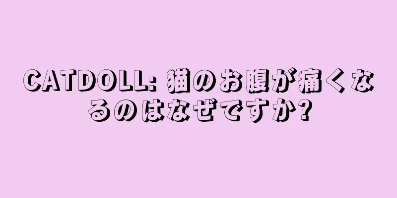 CATDOLL: 猫のお腹が痛くなるのはなぜですか?
