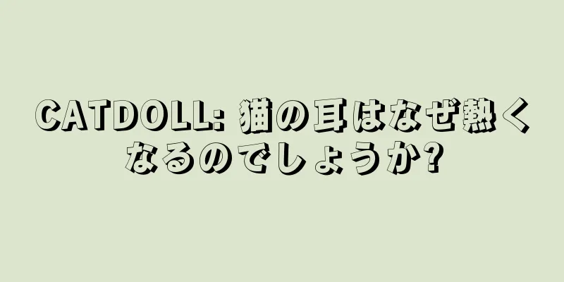 CATDOLL: 猫の耳はなぜ熱くなるのでしょうか?