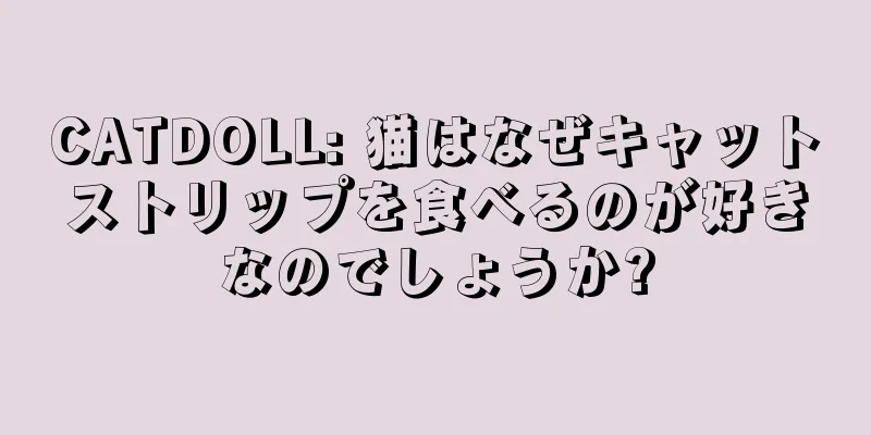 CATDOLL: 猫はなぜキャットストリップを食べるのが好きなのでしょうか?