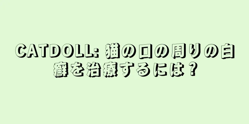 CATDOLL: 猫の口の周りの白癬を治療するには？
