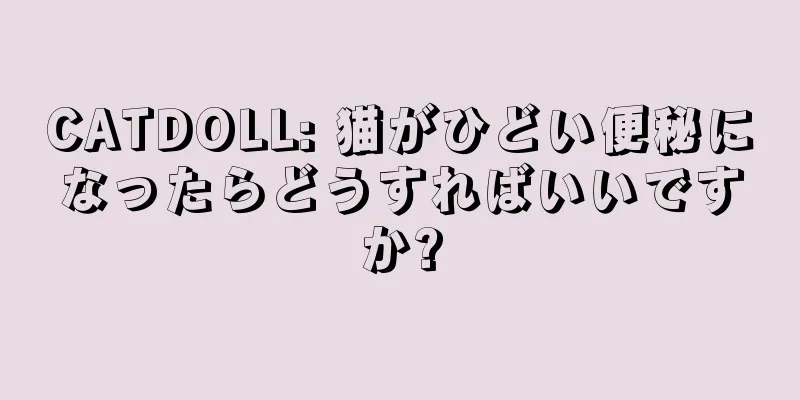 CATDOLL: 猫がひどい便秘になったらどうすればいいですか?