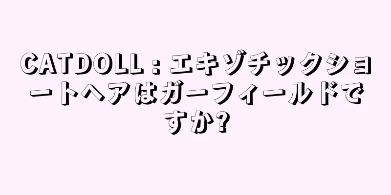 CATDOLL : エキゾチックショートヘアはガーフィールドですか?