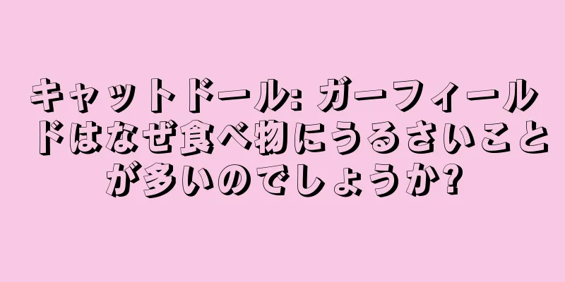 キャットドール: ガーフィールドはなぜ食べ物にうるさいことが多いのでしょうか?