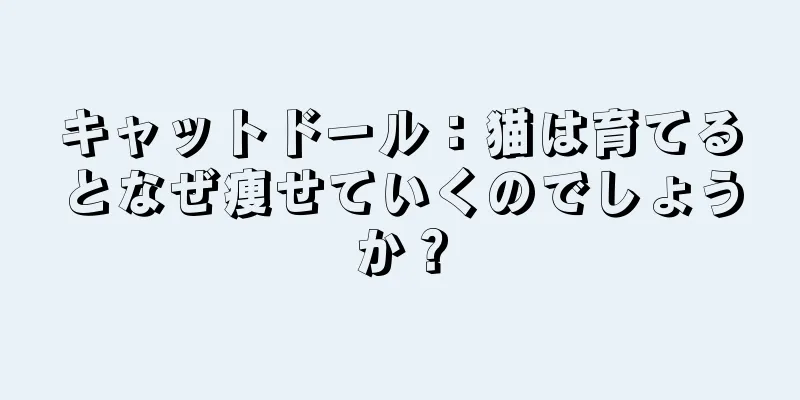 キャットドール：猫は育てるとなぜ痩せていくのでしょうか？