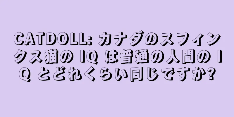 CATDOLL: カナダのスフィンクス猫の IQ は普通の人間の IQ とどれくらい同じですか?