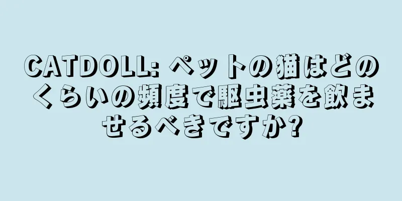CATDOLL: ペットの猫はどのくらいの頻度で駆虫薬を飲ませるべきですか?