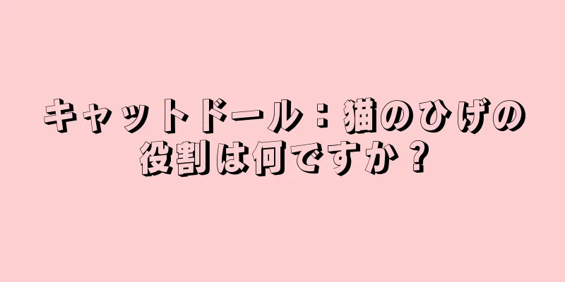 キャットドール：猫のひげの役割は何ですか？