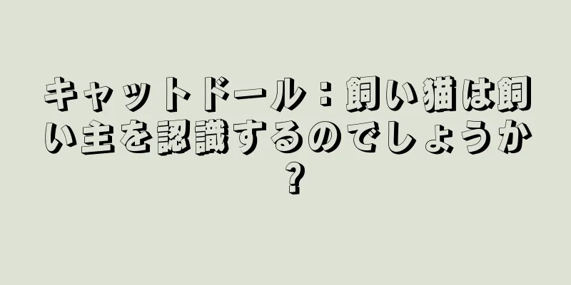キャットドール：飼い猫は飼い主を認識するのでしょうか？