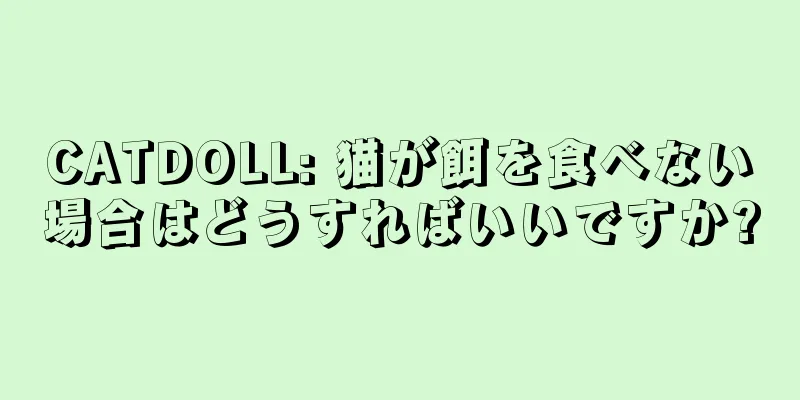 CATDOLL: 猫が餌を食べない場合はどうすればいいですか?