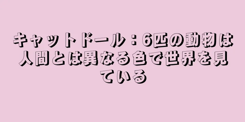 キャットドール：6匹の動物は人間とは異なる色で世界を見ている
