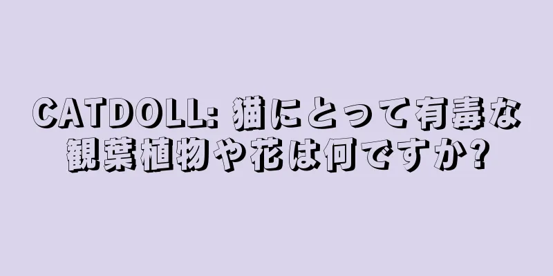 CATDOLL: 猫にとって有毒な観葉植物や花は何ですか?