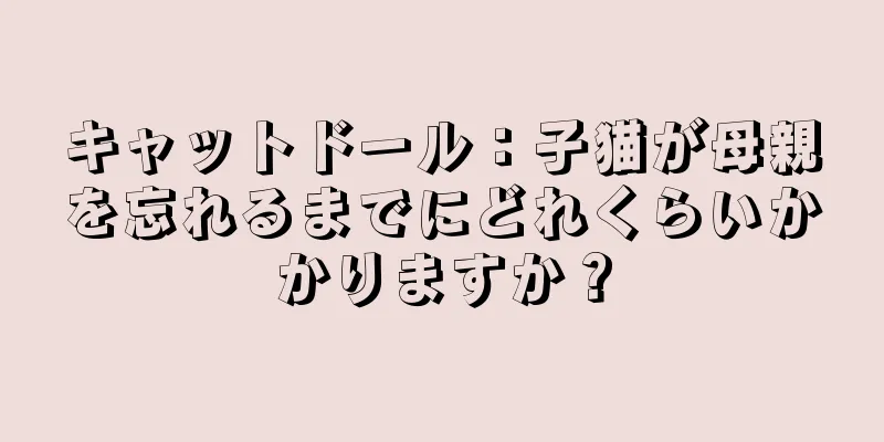 キャットドール：子猫が母親を忘れるまでにどれくらいかかりますか？