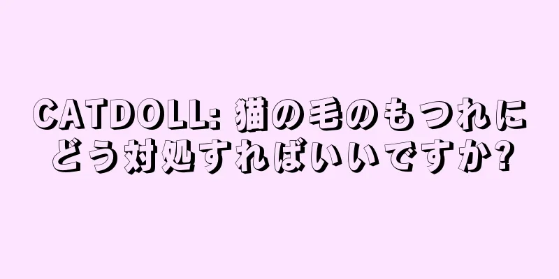 CATDOLL: 猫の毛のもつれにどう対処すればいいですか?