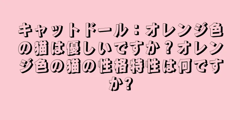 キャットドール：オレンジ色の猫は優しいですか？オレンジ色の猫の性格特性は何ですか?