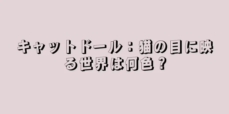 キャットドール：猫の目に映る世界は何色？