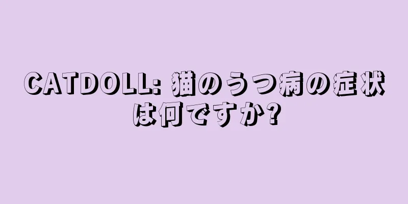 CATDOLL: 猫のうつ病の症状は何ですか?