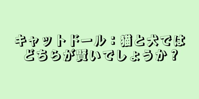 キャットドール：猫と犬ではどちらが賢いでしょうか？