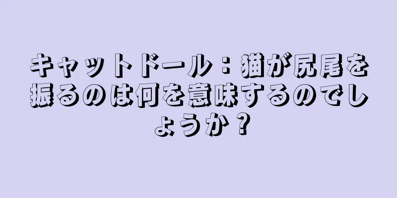 キャットドール：猫が尻尾を振るのは何を意味するのでしょうか？