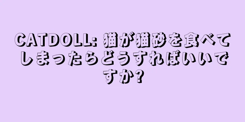 CATDOLL: 猫が猫砂を食べてしまったらどうすればいいですか?
