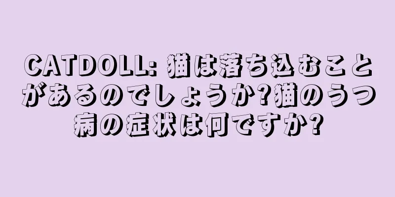 CATDOLL: 猫は落ち込むことがあるのでしょうか?猫のうつ病の症状は何ですか?