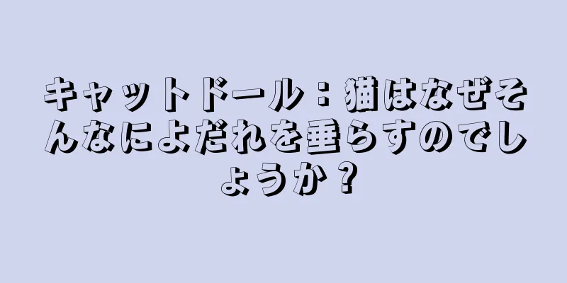 キャットドール：猫はなぜそんなによだれを垂らすのでしょうか？