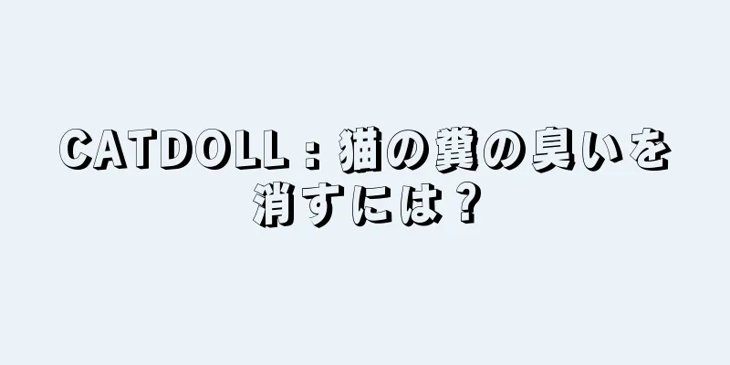 CATDOLL : 猫の糞の臭いを消すには？