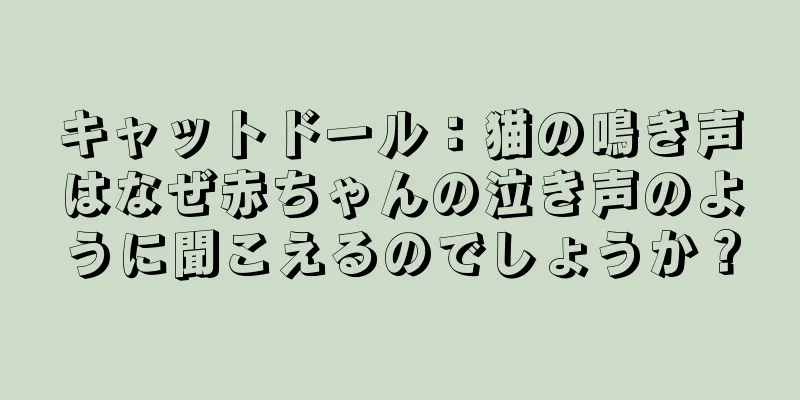 キャットドール：猫の鳴き声はなぜ赤ちゃんの泣き声のように聞こえるのでしょうか？