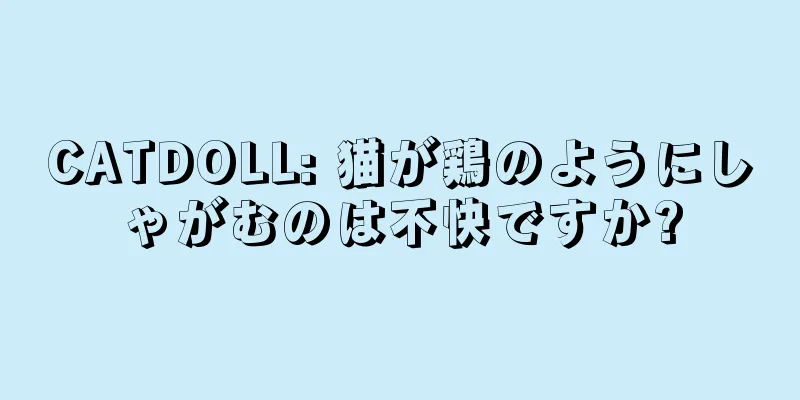 CATDOLL: 猫が鶏のようにしゃがむのは不快ですか?