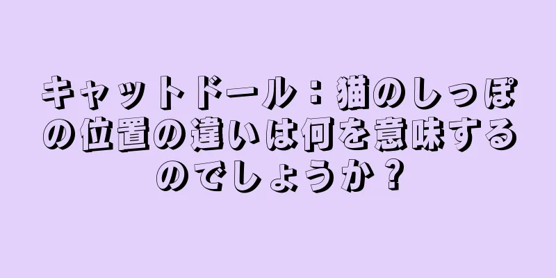 キャットドール：猫のしっぽの位置の違いは何を意味するのでしょうか？