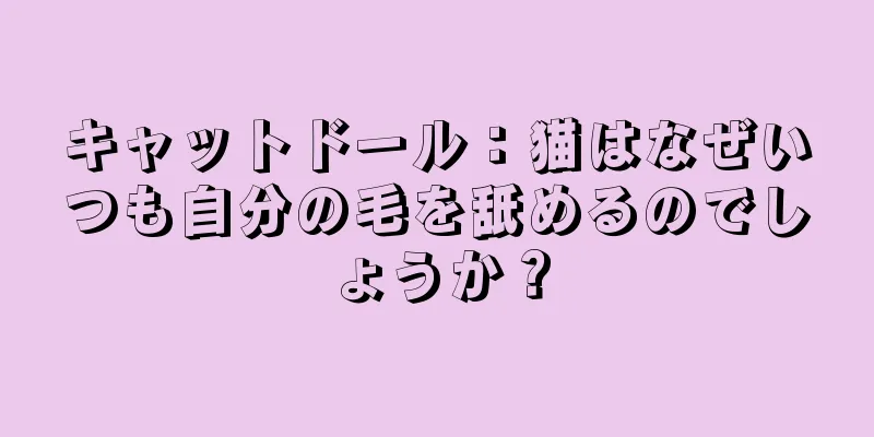 キャットドール：猫はなぜいつも自分の毛を舐めるのでしょうか？