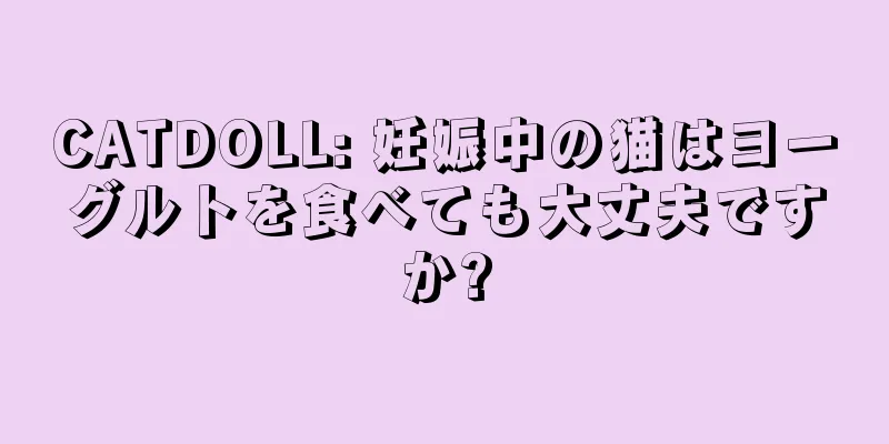 CATDOLL: 妊娠中の猫はヨーグルトを食べても大丈夫ですか?