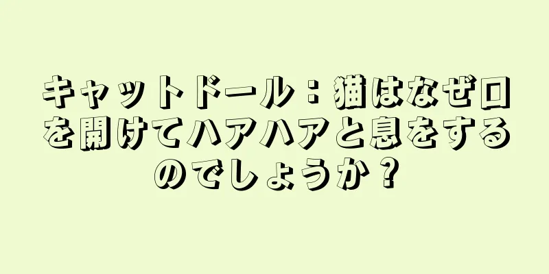 キャットドール：猫はなぜ口を開けてハアハアと息をするのでしょうか？