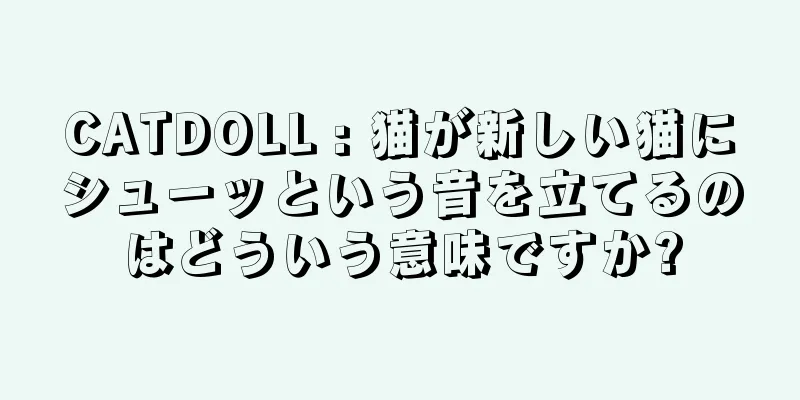 CATDOLL : 猫が新しい猫にシューッという音を立てるのはどういう意味ですか?